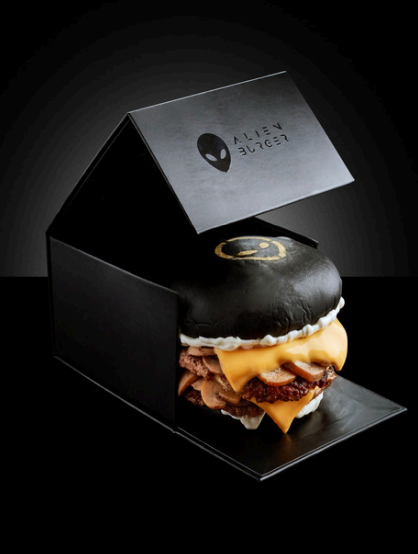 burger2